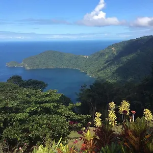 Bed & Breakfast Mahogany Ridge, Arouca